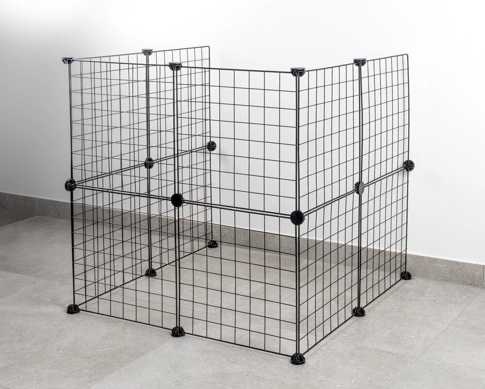 Konijnenren - caviaren