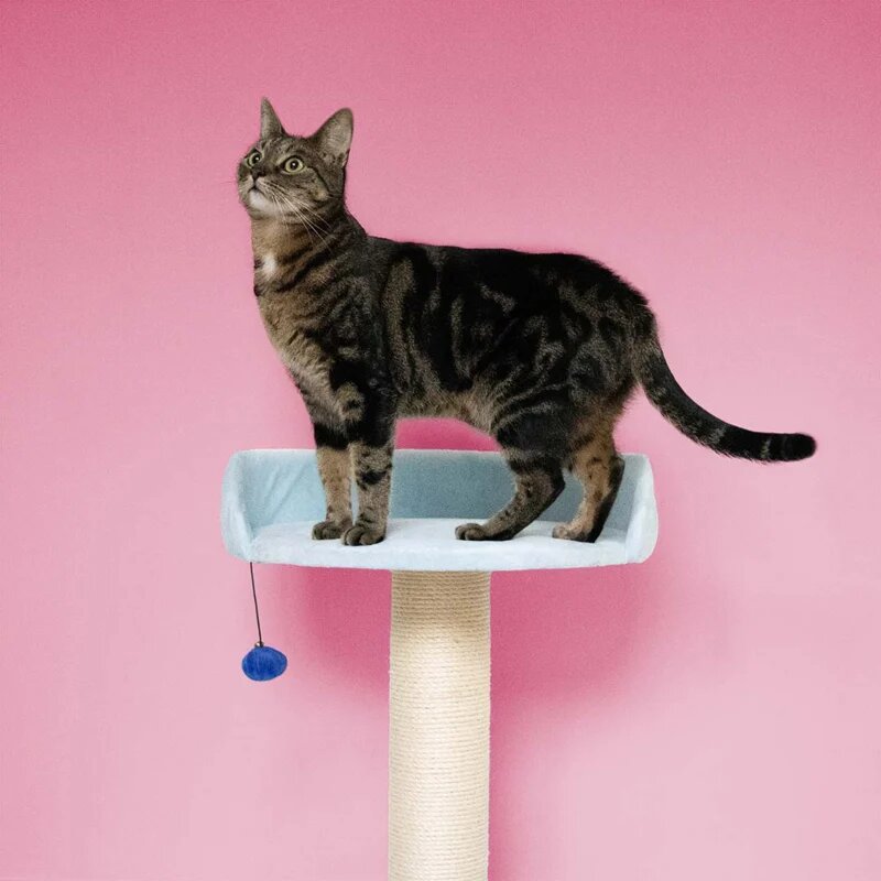 Krabpaal BERRY BREEZE Blauw