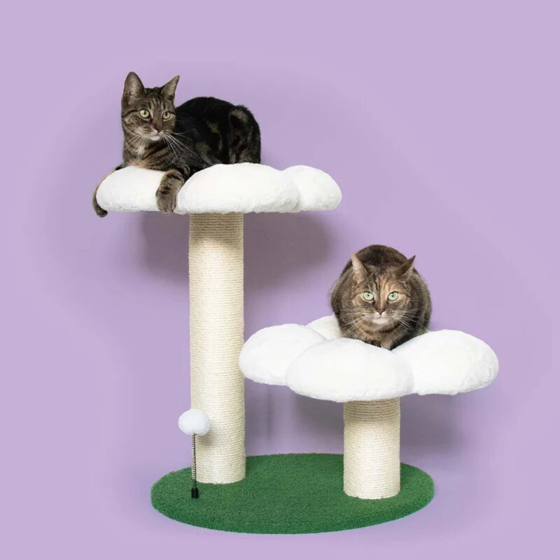 Krabpaal FLOWER POWER Meerkleurig