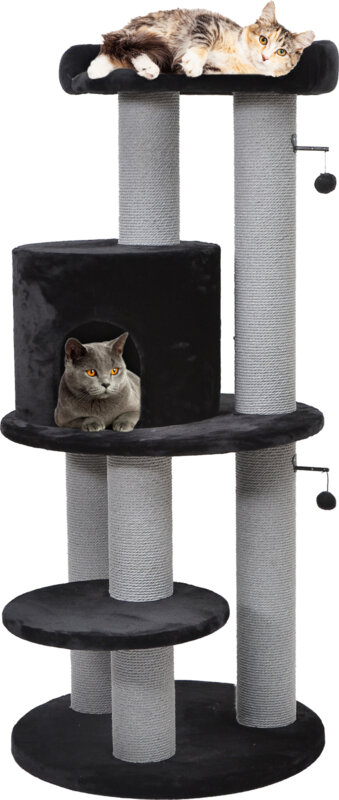 Krabpaal Hattie Zwart