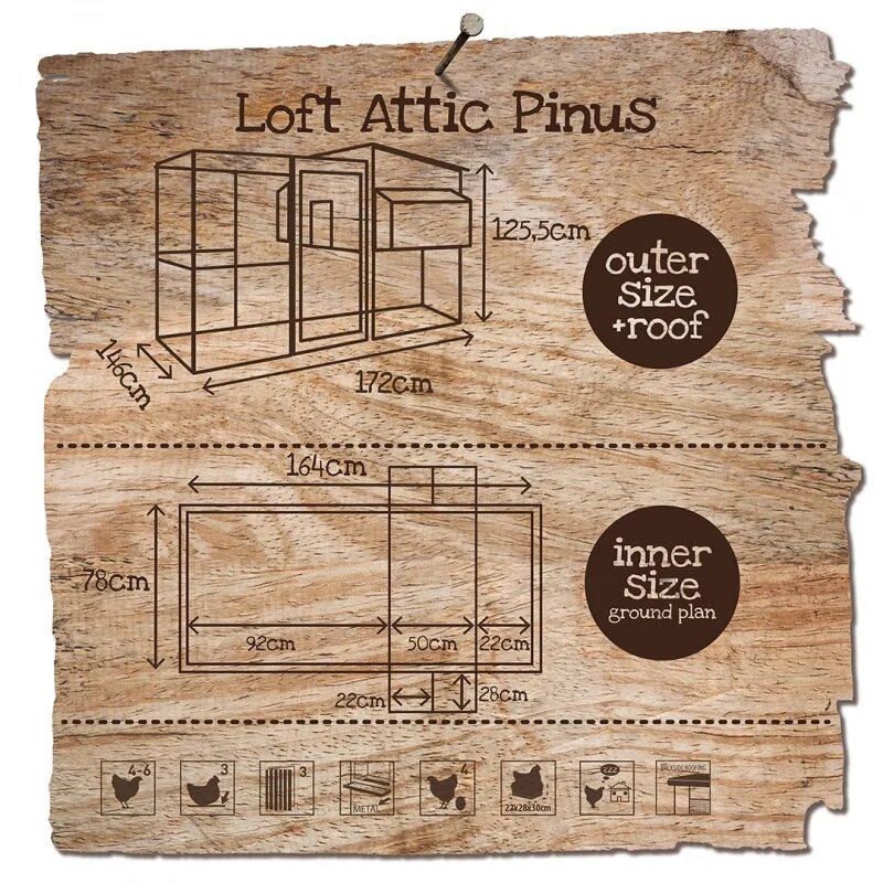Houten Kippenhok Loft Attic Pinus &ndash; Woodland Buitenhok voor 4-6 Kippen