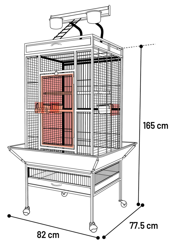 Papegaaienkooi Paolo Antraciet