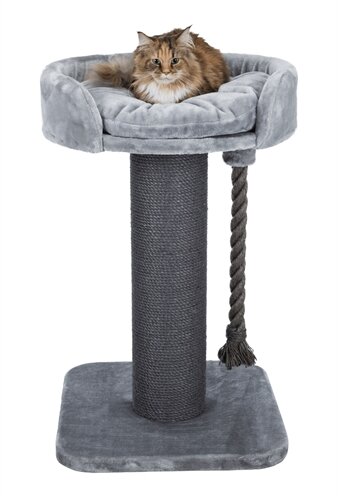 Krabpaal Trixie XXL Klara Grijs &ndash; Compacte Krabpaal voor Grote Katten met Mandje &amp; Natuursisal 60x60x100 cm