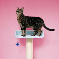 Krabpaal BERRY BREEZE Blauw