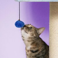 Krabpaal BERRY BREEZE Blauw