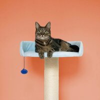 Krabpaal BERRY BREEZE Blauw