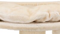 Krabpaal Trixie XXL Klara Cr&egrave;me &ndash; Compacte Krabpaal voor Grote Katten met Mandje &amp; Natuursisal 60x60x100 cm