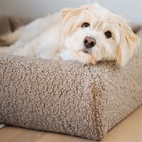 Bia bed premium hoes teddy beige