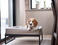 Bia air frame voor bia bed zwart