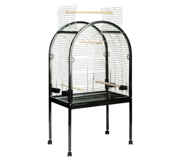 Papegaaienkooi Pearl