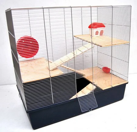 https://www.budgetkooien.nl/Files/10/399000/399911/ProductPhotos/Source/2362316738.jpg