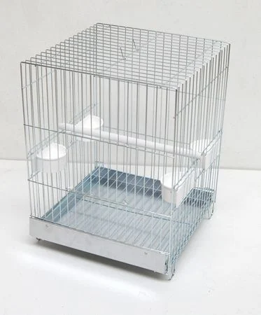 https://www.budgetkooien.nl/Files/10/399000/399911/ProductPhotos/Source/2362317833.jpg