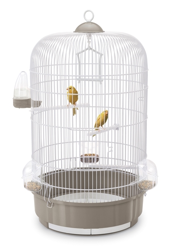 https://www.budgetkooien.nl/Files/10/399000/399911/ProductPhotos/Source/2371046571.jpg