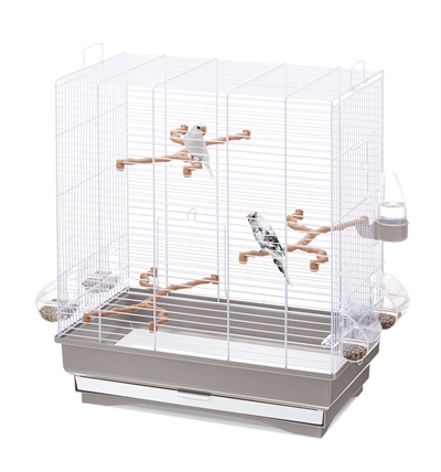 https://www.budgetkooien.nl/Files/10/399000/399911/ProductPhotos/Source/2371046583.jpg