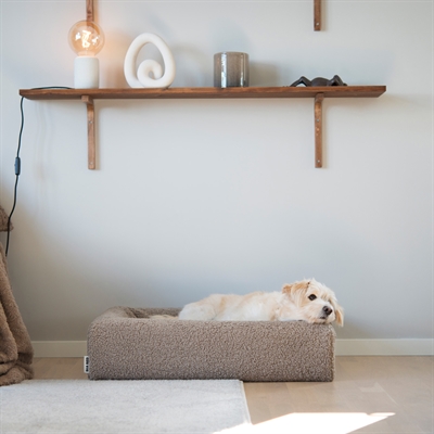 https://www.budgetkooien.nl/Files/10/399000/399911/ProductPhotos/Source/2400460706.jpg