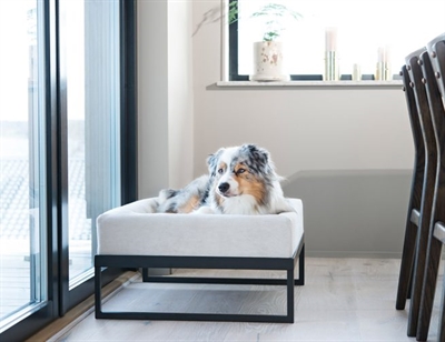 https://www.budgetkooien.nl/Files/10/399000/399911/ProductPhotos/Source/2400463061.jpg