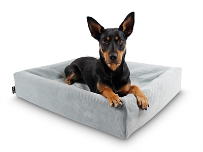 https://www.budgetkooien.nl/Files/10/399000/399911/ProductPhotos/Source/2400464552.jpg