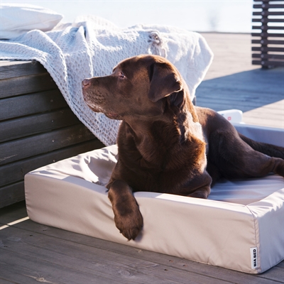 https://www.budgetkooien.nl/Files/10/399000/399911/ProductPhotos/Source/2400465092.jpg