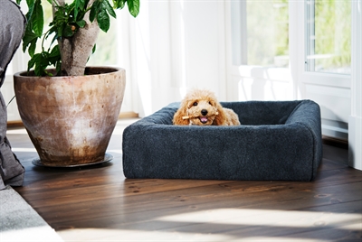 https://www.budgetkooien.nl/Files/10/399000/399911/ProductPhotos/Source/2400465233.jpg