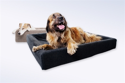 https://www.budgetkooien.nl/Files/10/399000/399911/ProductPhotos/Source/2400465242.jpg