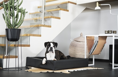 https://www.budgetkooien.nl/Files/10/399000/399911/ProductPhotos/Source/2400465248.jpg