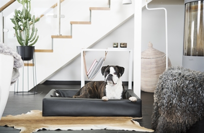 https://www.budgetkooien.nl/Files/10/399000/399911/ProductPhotos/Source/2400465251.jpg